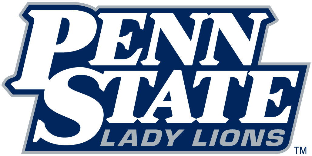 Penn State Nittany Lions 2001-2004 Wordmark Logo v2 diy iron on heat transfer